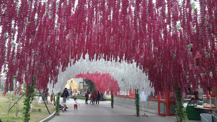 Hạ Long park