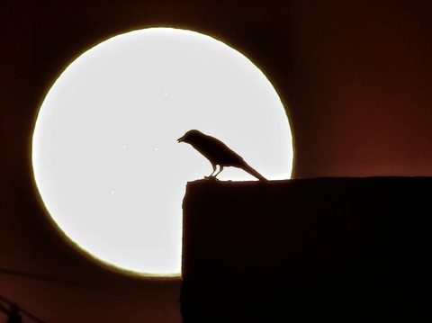 moon