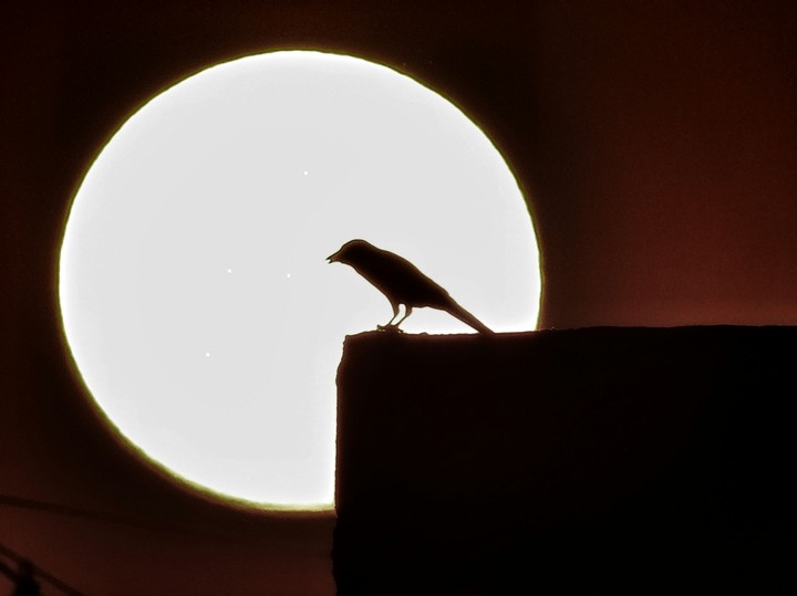 moon