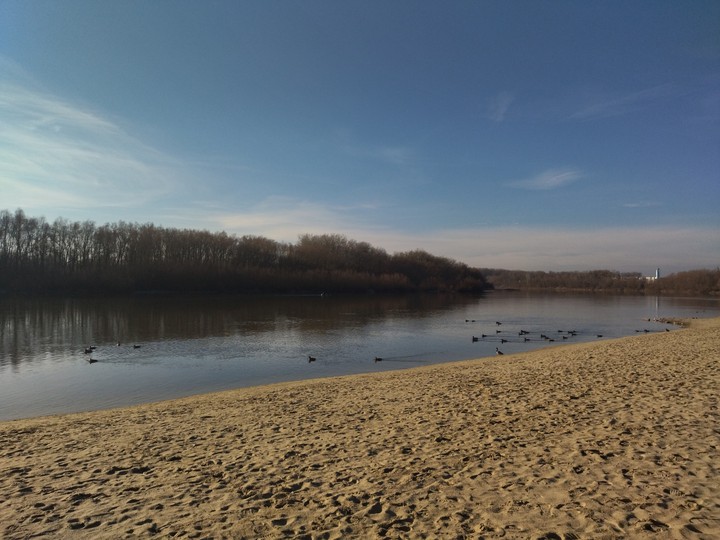 beach & ducks