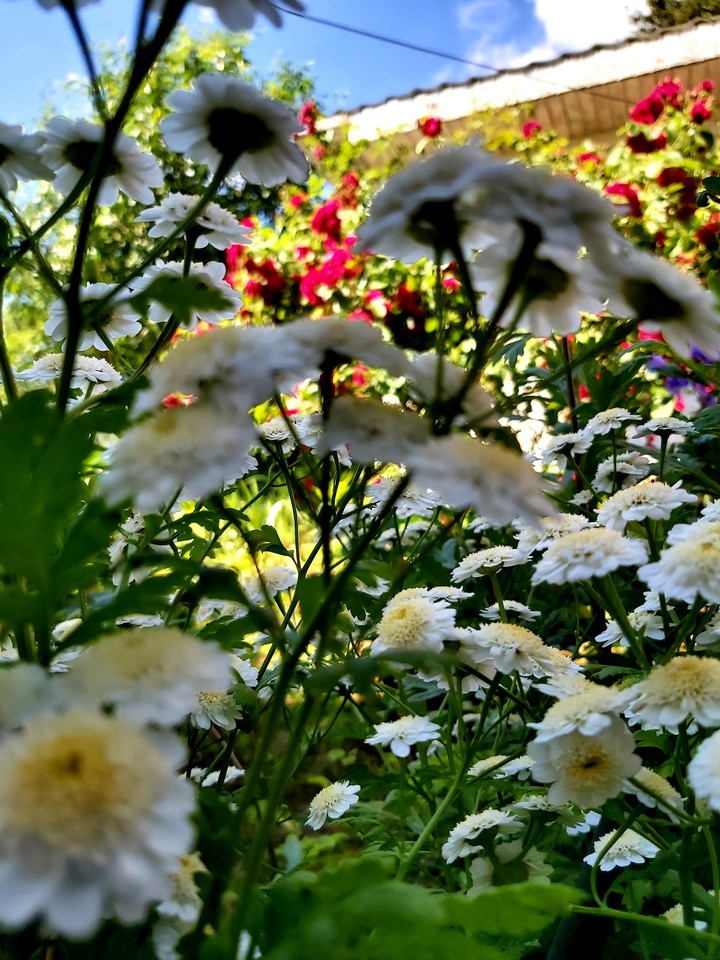 ?