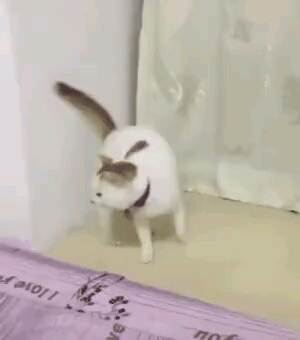 ❤