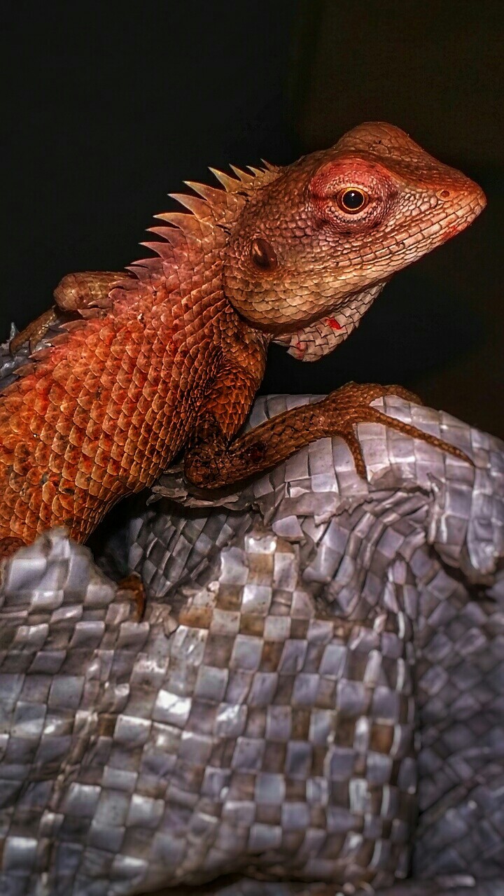 ???????
mobile click 
Samsung E7