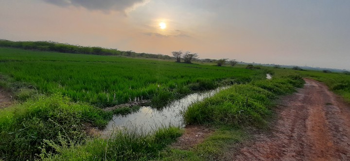 sunset