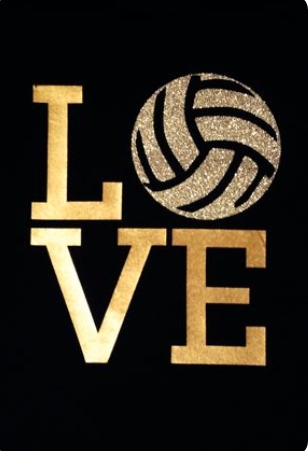 love for volley