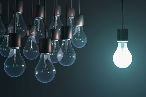 Bulbs...