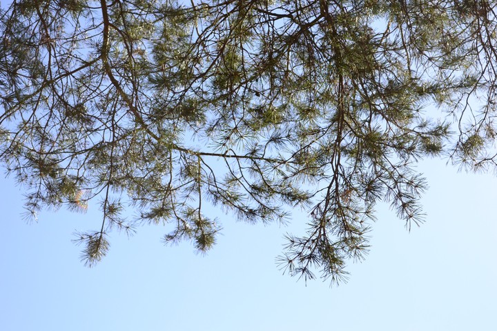 sky
