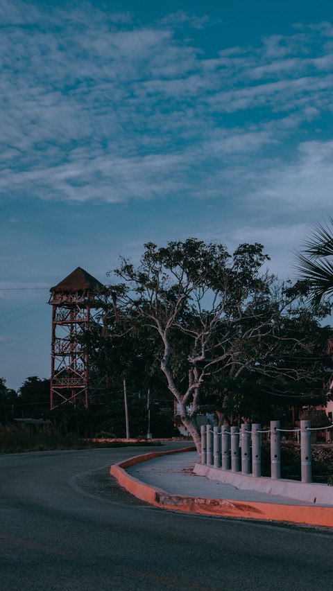 un camino maya