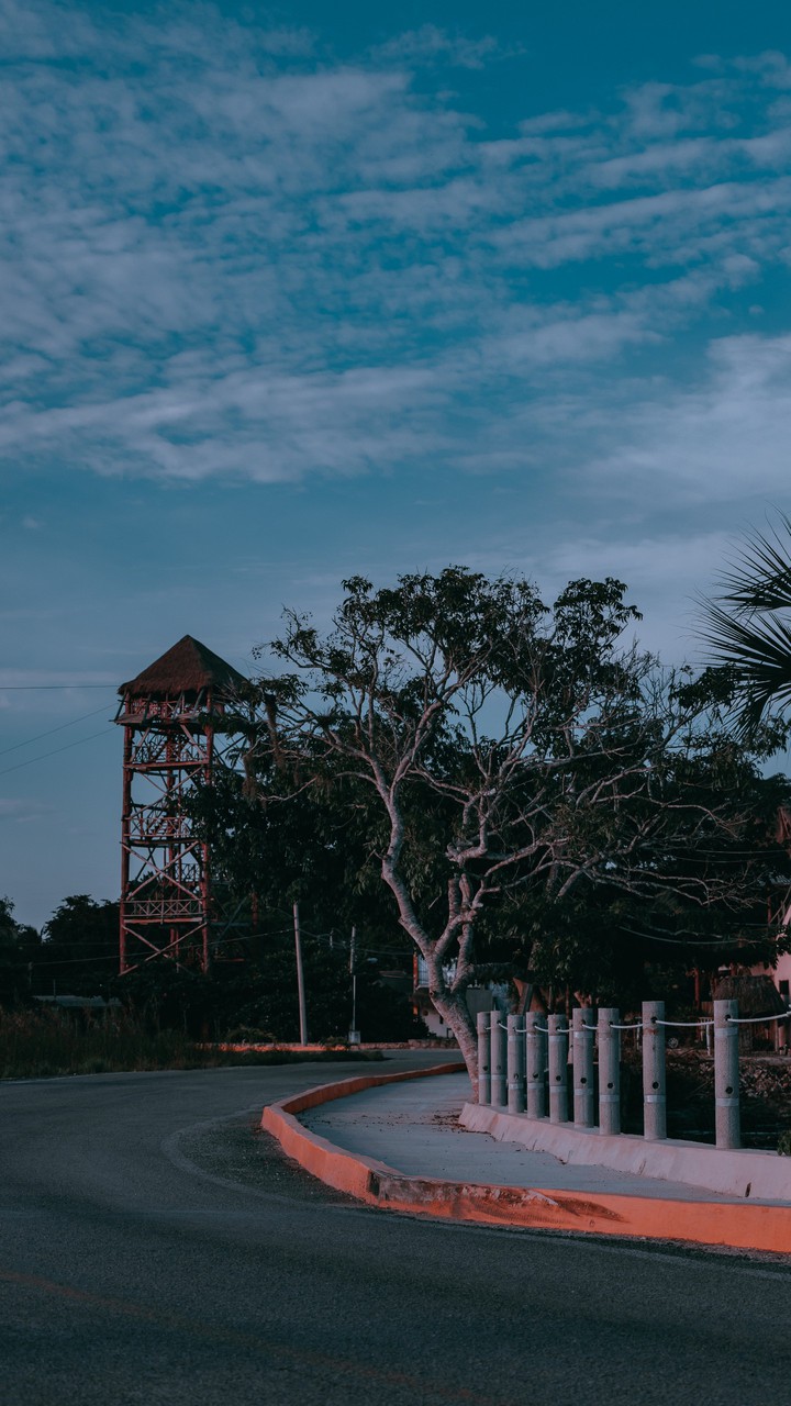 un camino maya