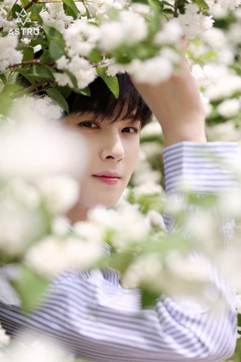 Korean actor ChaEunwoo