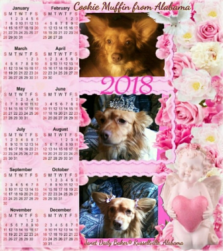Cookie Muffin from Alabama in Pink, Calendar
