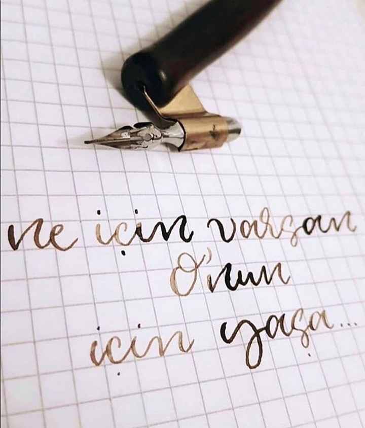 Ne için varsan onun için yaşa.