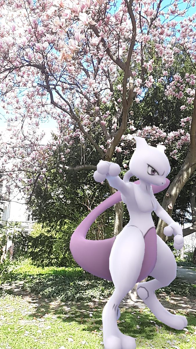 Mewtwo goes wild