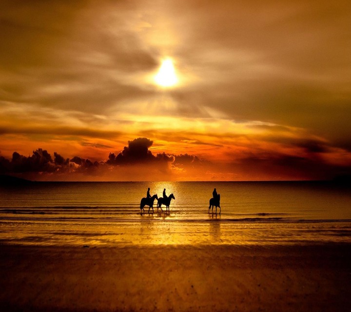 paysage