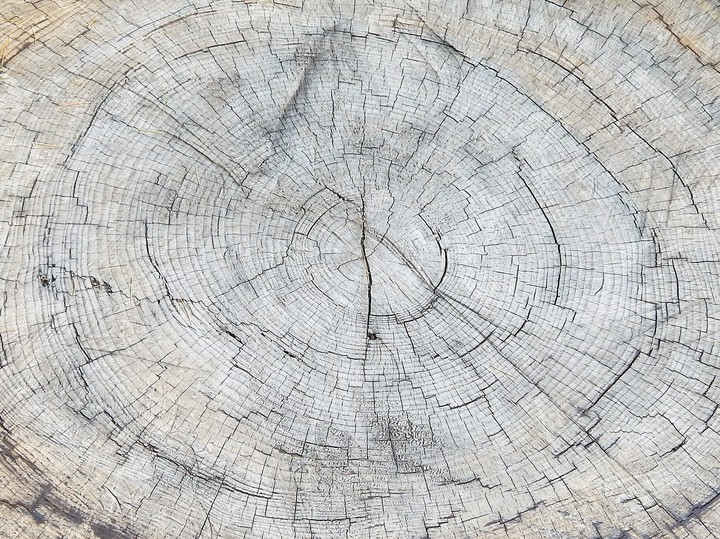Circles of time