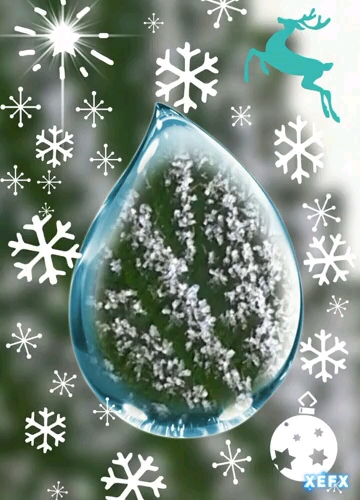Frost Day ❤️