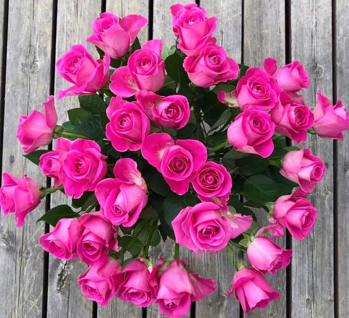 Roses