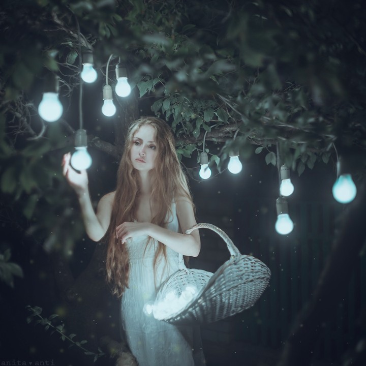 the light everywhere