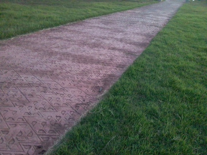 The way