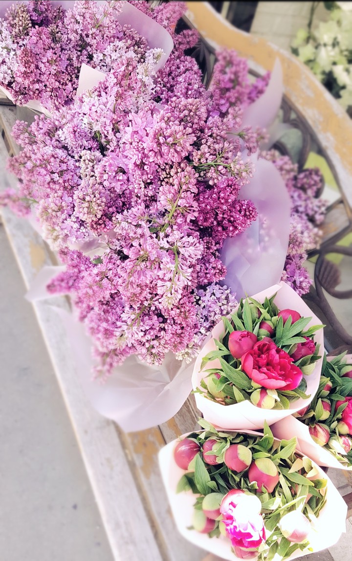 flowers on the bench