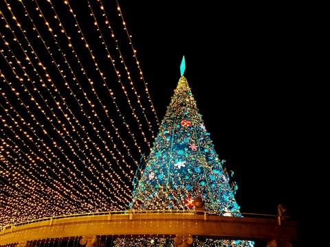 christmas tree