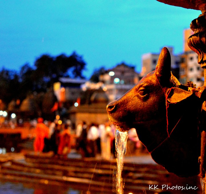 India... Godavari river