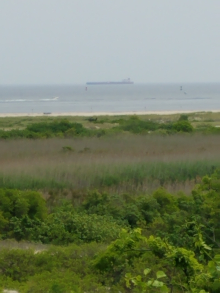 Sandy hook