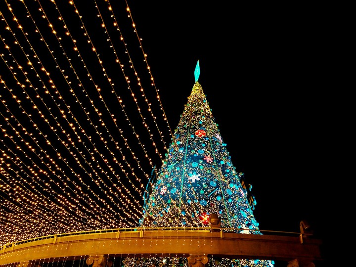 christmas tree