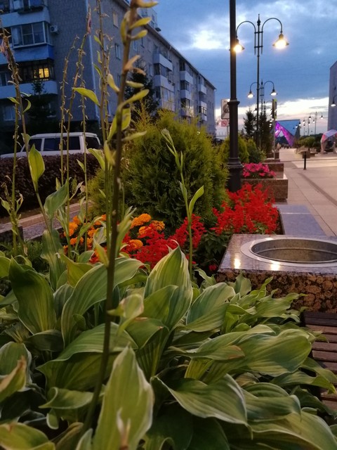 Omsk