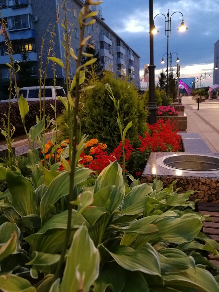 Omsk