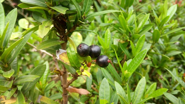 Beauti of nature