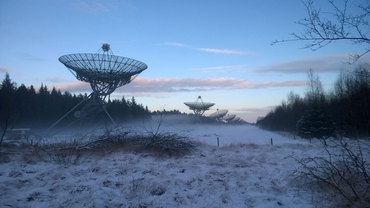 Winter wonderland