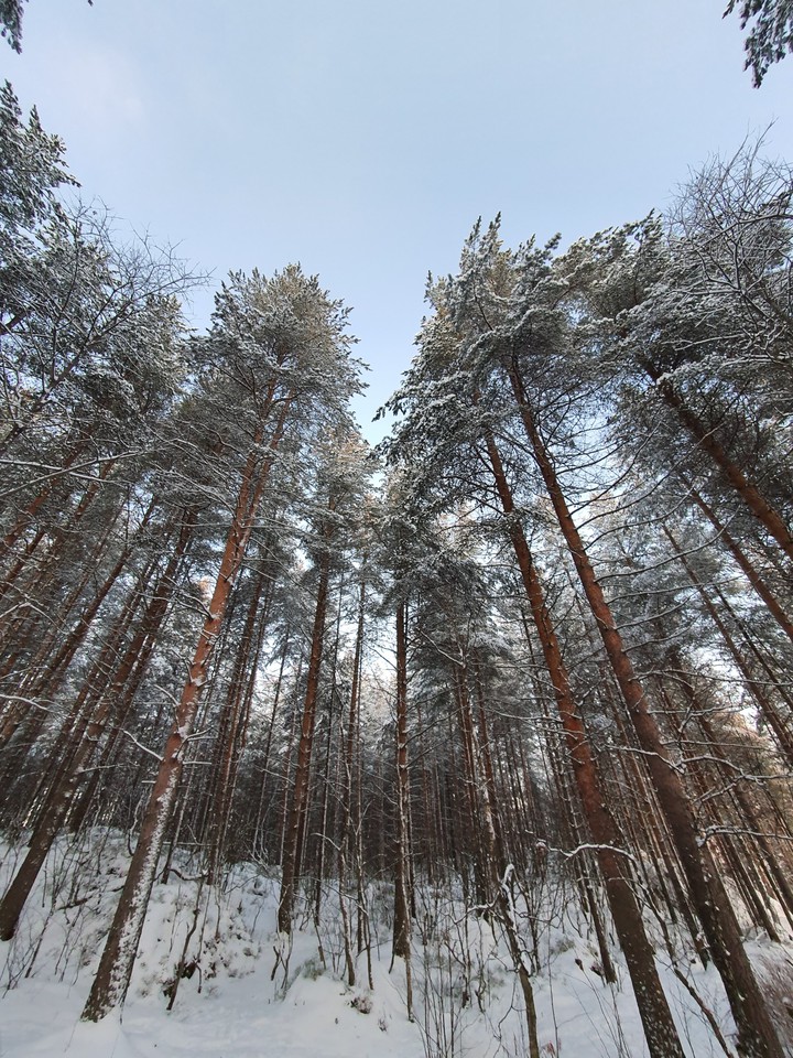 декабрь 5