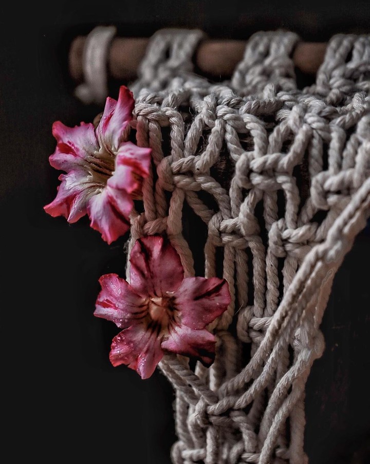 blossom