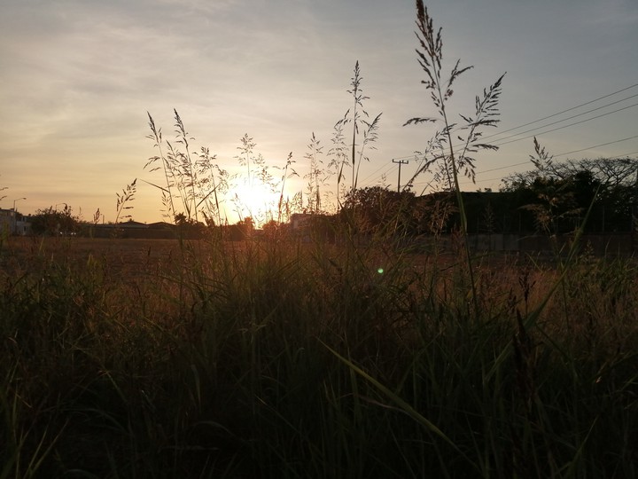 Atardecer