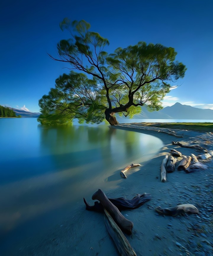 Nature's Beauty