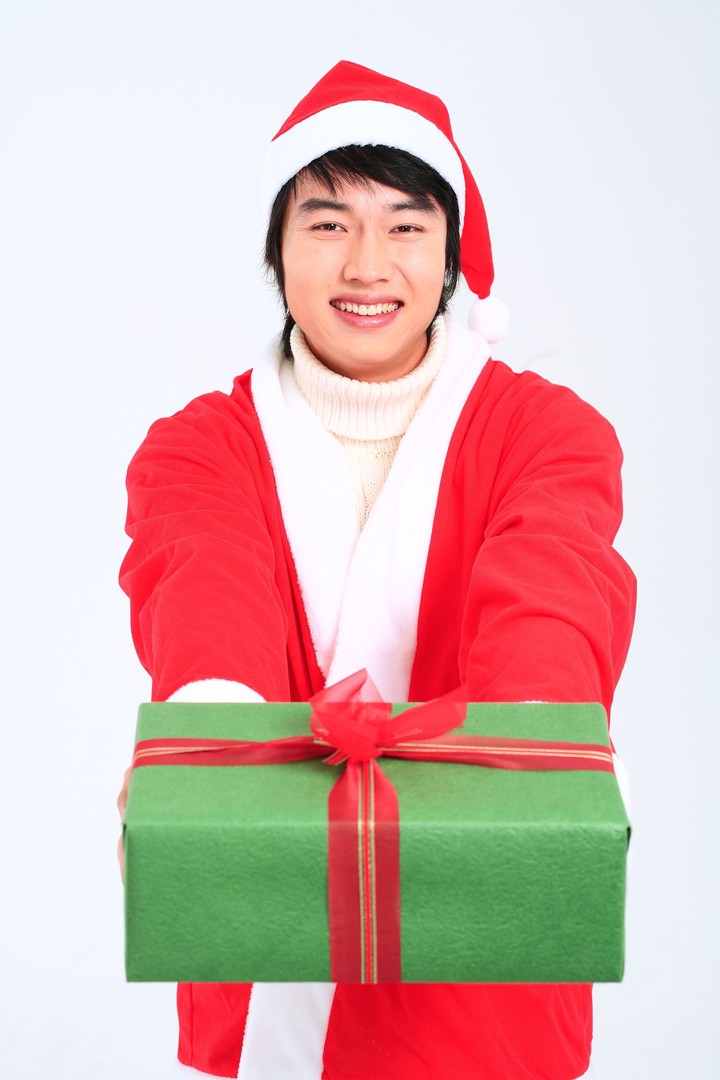 Christmas Costume