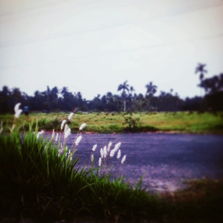 Nature