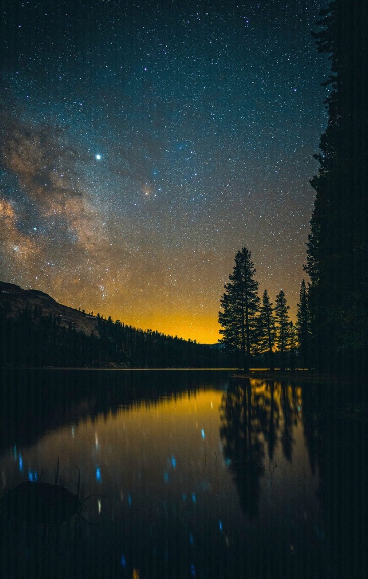 Night Beauty