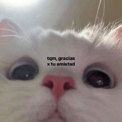 .......... @, "