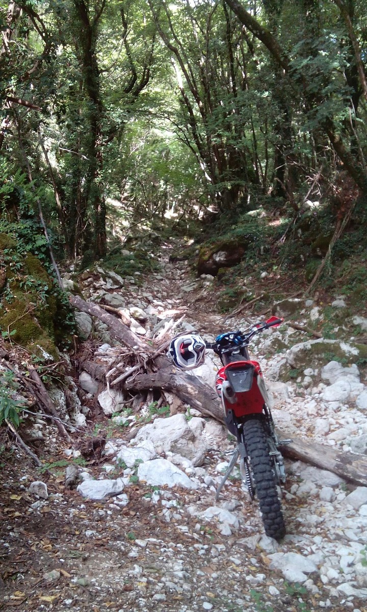 enduro