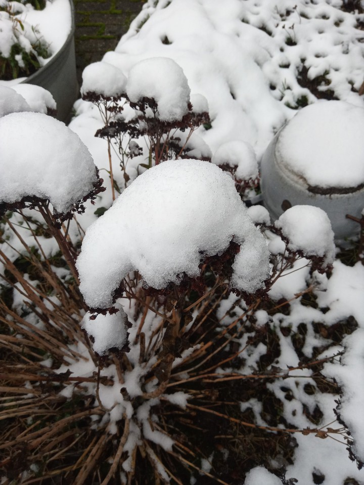 snow