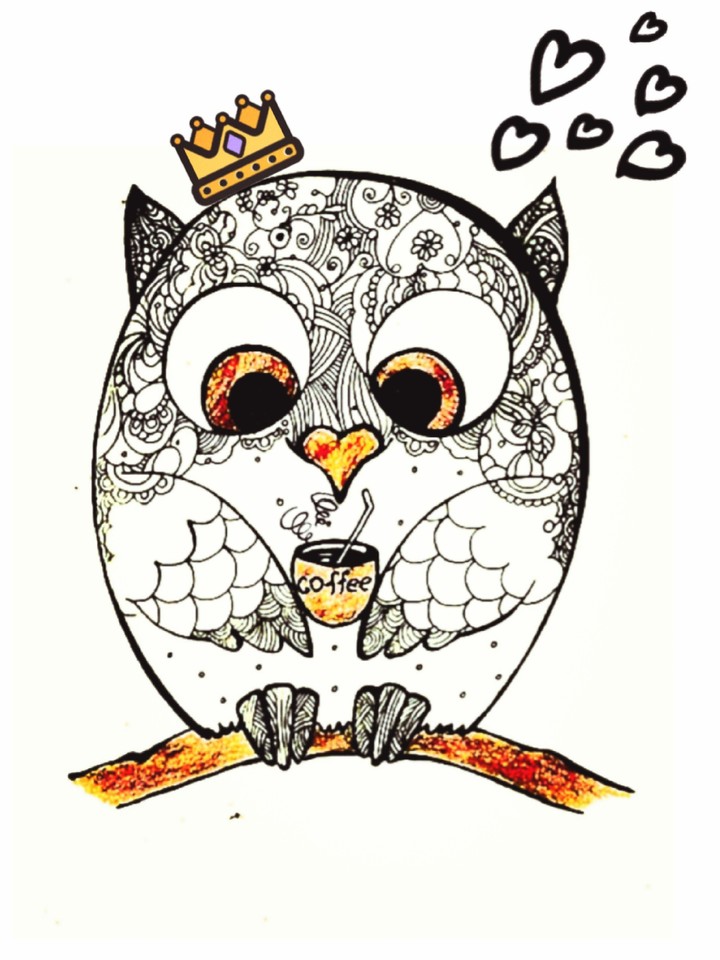 owl coffee