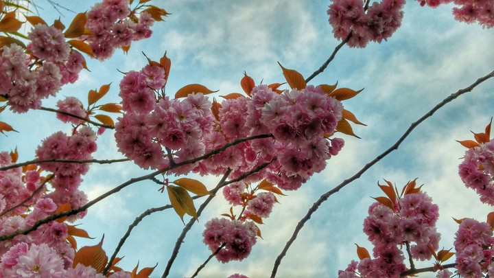 Spring