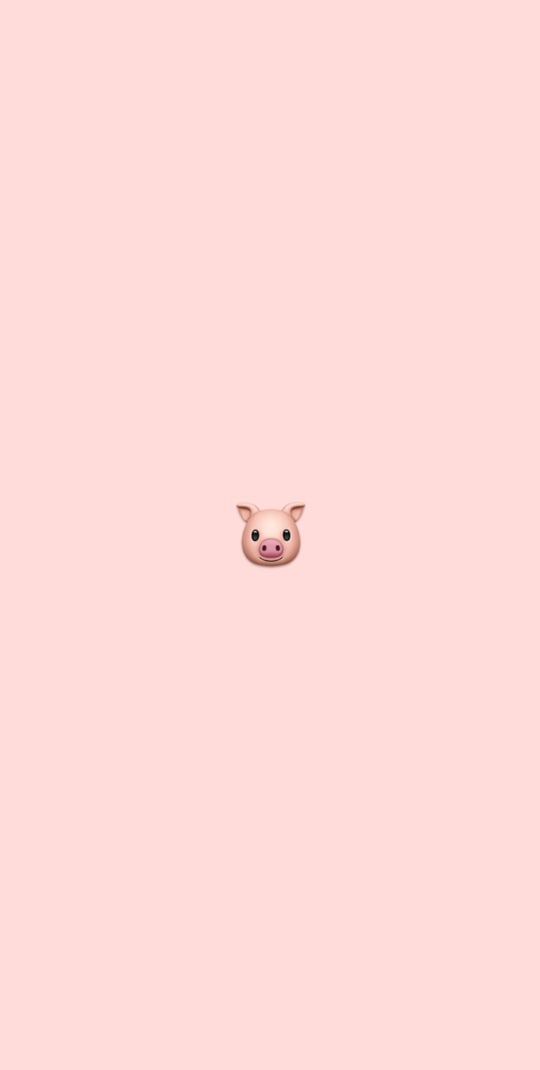 Pig