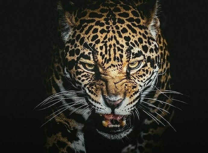this is