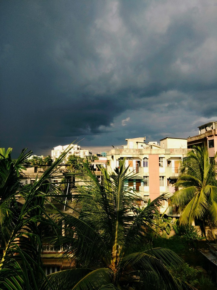 Before the rain