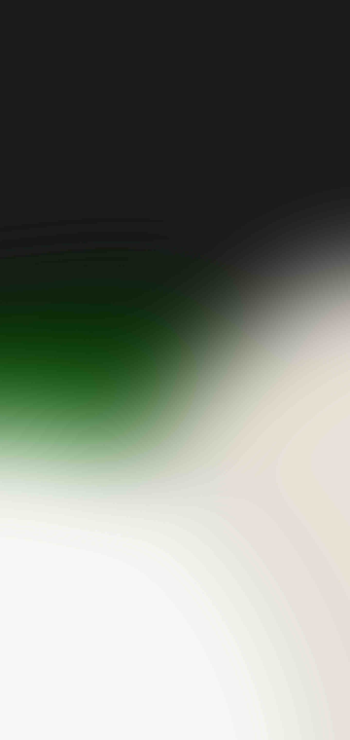 ⠀