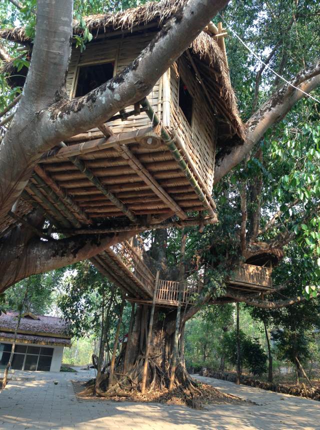 ##tree house##