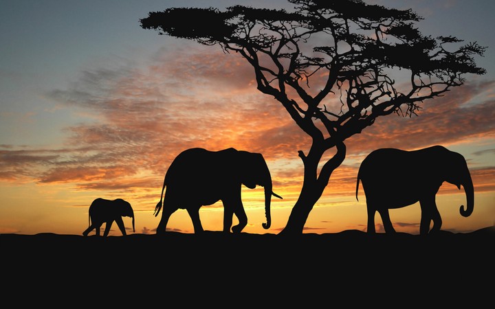 Africa